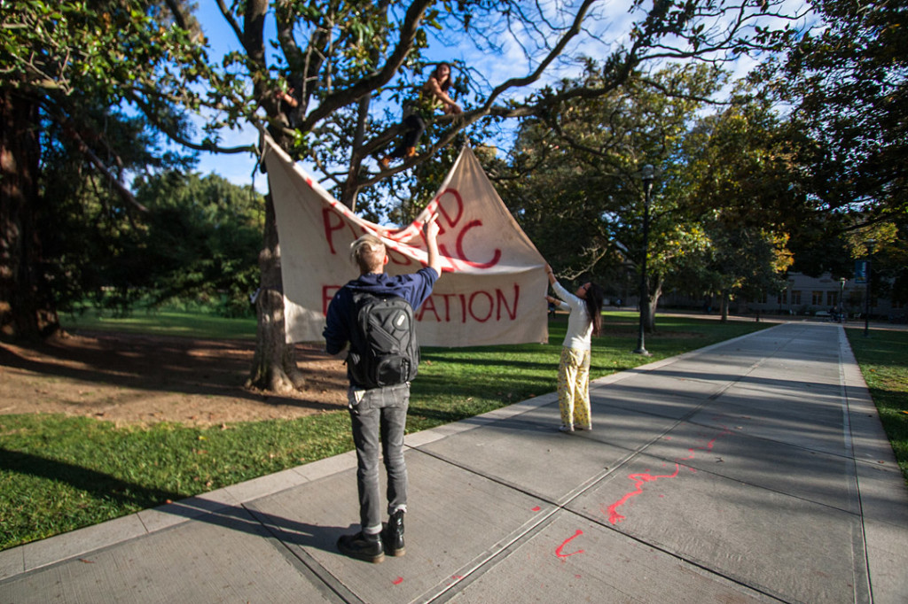 Students put up a sign against the privatization of the University of California on November 18, 2011 Davis, Calif. (BRIAN NGUYEN/THE CALIFORNIA AGGIE).